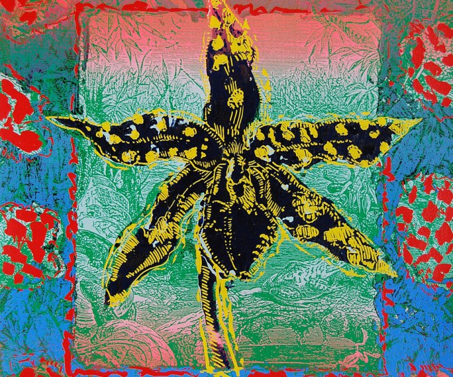 Animated Nature 1 woodcut/silkscreen 20x18 ins 1998