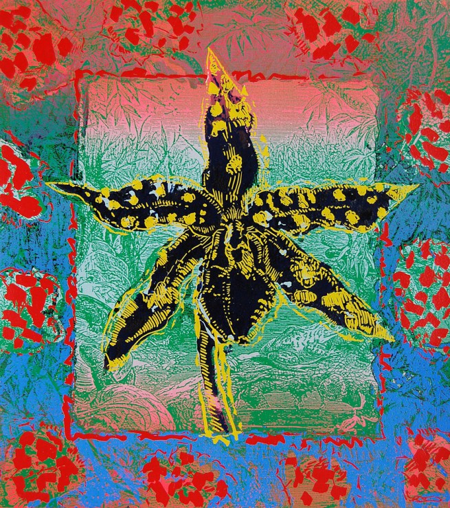 Animated Nature 1 woodcut/silkscreen 20x18 ins 1998